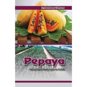 Pepaya Budi Daya Intensif Pertanian Organik dan Anorganik